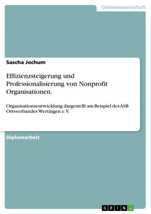 Cover of the book Effizienzsteigerung und Professionalisierung von Nonprofit Organisationen. by A. K.