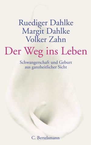 Cover of the book Der Weg ins Leben by Harald Martenstein