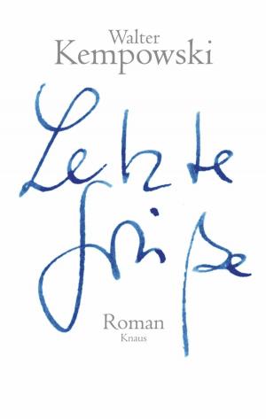 Cover of the book Letzte Grüße by Randall Munroe