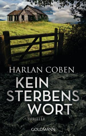 Cover of the book Kein Sterbenswort by Bernard Lee DeLeo, RJ Parker