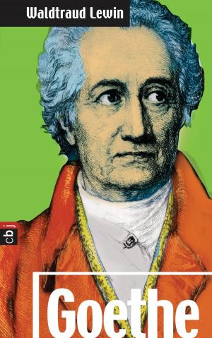 Cover of the book Goethe by Elisabeth Herrmann