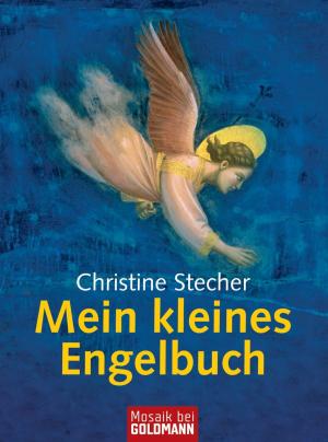 Cover of the book Mein kleines Engelbuch by Martin Wehrle