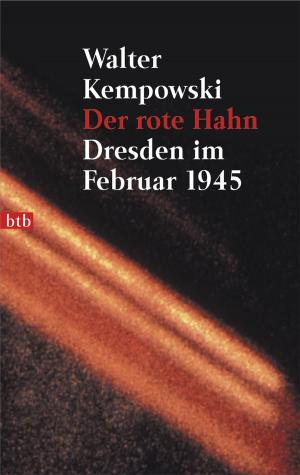 Cover of the book Der rote Hahn by Salman Rushdie