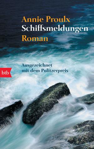 Cover of the book Schiffsmeldungen by Hanns-Josef Ortheil