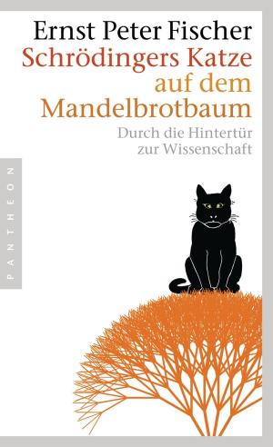 Book cover of Schrödingers Katze auf dem Mandelbrotbaum