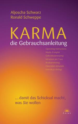 Cover of the book Karma - die Gebrauchsanleitung by Aljoscha Long, Ronald Schweppe