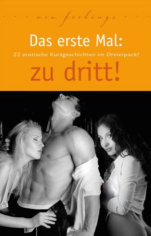Book cover of Das erste Mal: zu dritt!