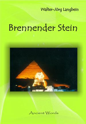 Cover of the book Brennender Stein by Moustafa Gadalla