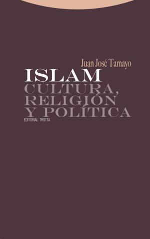 Cover of Islam. Cultura, religión y política
