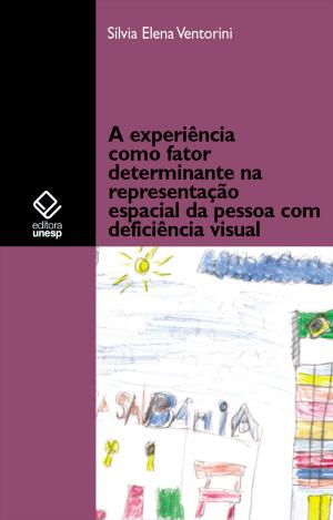 Cover of the book A experiência como fator determinante na representação espacial da pessoa com deficiência visual by Maria do Rosário Longo Mortatti