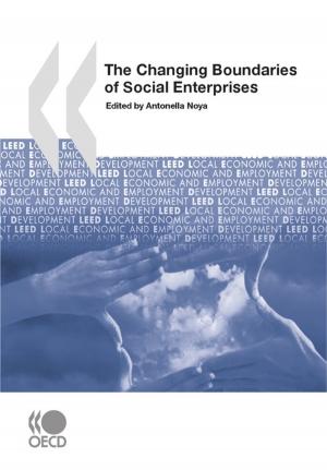 Cover of the book The Changing Boundaries of Social Enterprises by Collectif