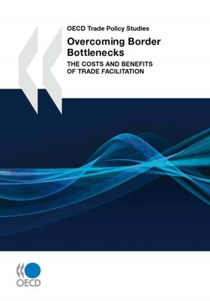 Cover of the book Overcoming Border Bottlenecks by Collective