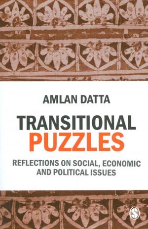 bigCover of the book Transitional Puzzles by 