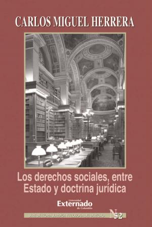 Cover of Los derechos sociales entre estado y doctrina jurídica