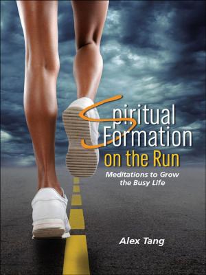 Cover of the book Spiritual Formation on the Run by Mary Jo Pierce
