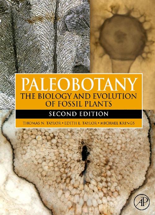 Cover of the book Paleobotany by Thomas N. Taylor, Edith L. Taylor, Michael Krings, Elsevier Science