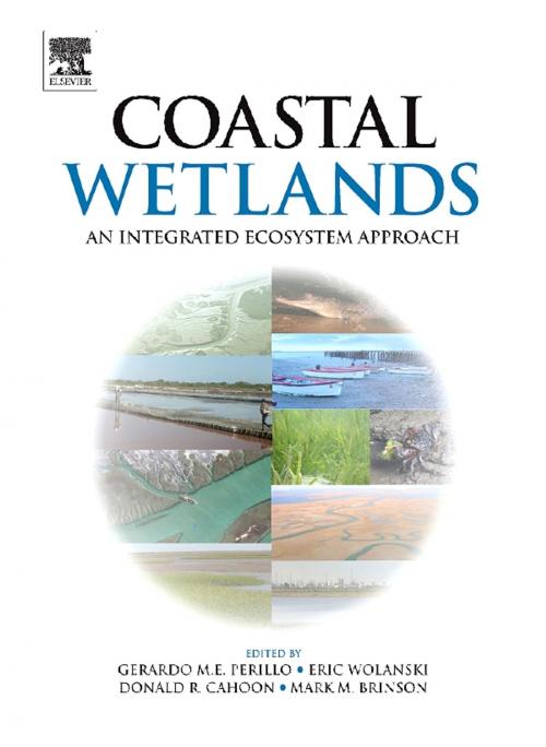 Cover of the book Coastal Wetlands by , Elsevier Science