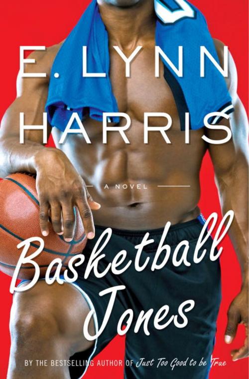 Cover of the book Basketball Jones by E. Lynn Harris, Knopf Doubleday Publishing Group
