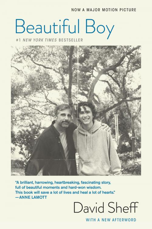 Cover of the book Beautiful Boy by David Sheff, HMH Books