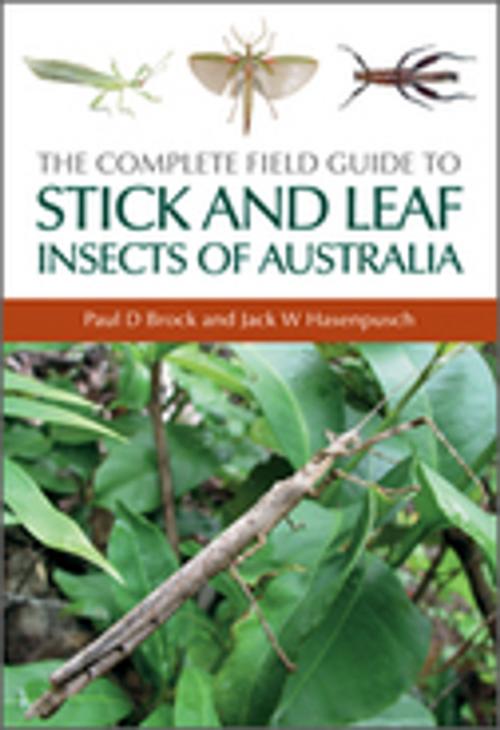 Cover of the book The Complete Field Guide to Stick and Leaf Insects of Australia by Paul D Brock, Jack W Hasenpusch, CSIRO PUBLISHING