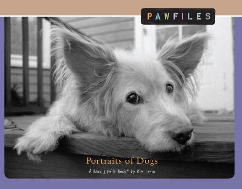 Cover of the book Pawfiles by Kim Levin, Andrews McMeel Publishing, LLC