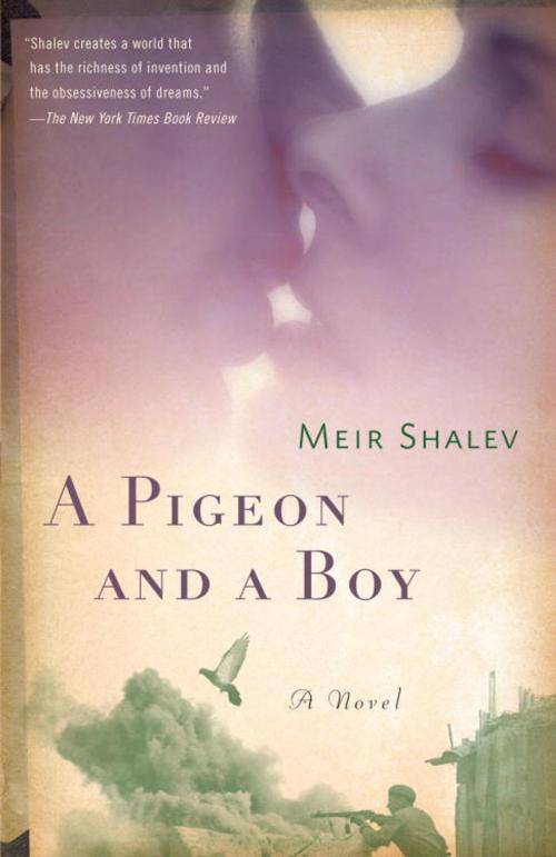 Cover of the book A Pigeon and a Boy by Meir Shalev, Knopf Doubleday Publishing Group