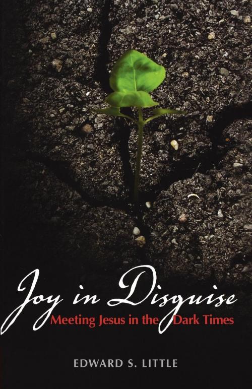 Cover of the book Joy in Disguise by Edward S. Little, Church Publishing Inc.