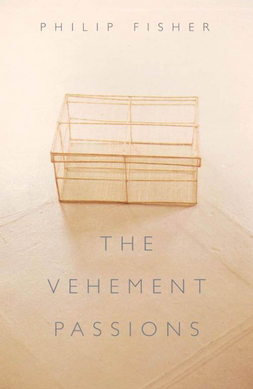 Cover of the book The Vehement Passions by Philip Fisher, Princeton University Press