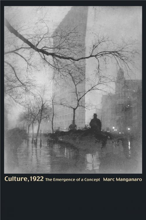 Cover of the book Culture, 1922 by Marc Manganaro, Princeton University Press