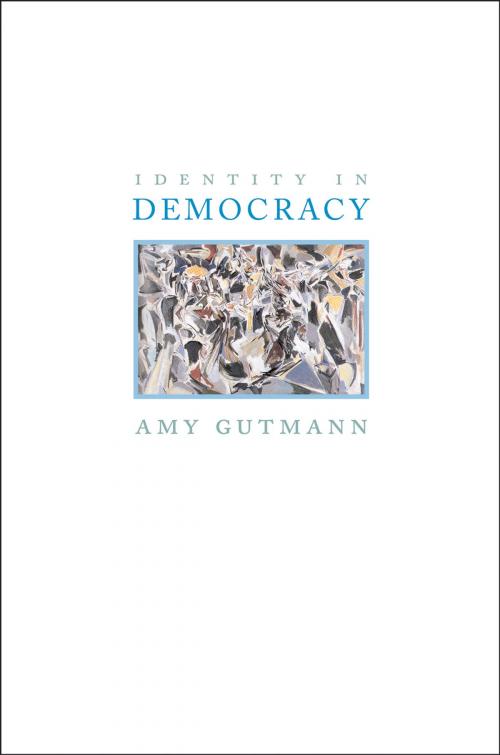 Cover of the book Identity in Democracy by Amy Gutmann, Princeton University Press