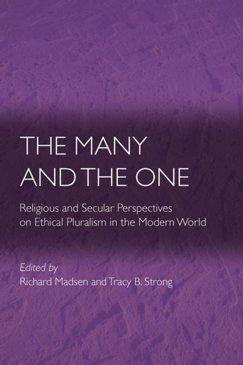 Cover of the book The Many and the One by , Princeton University Press