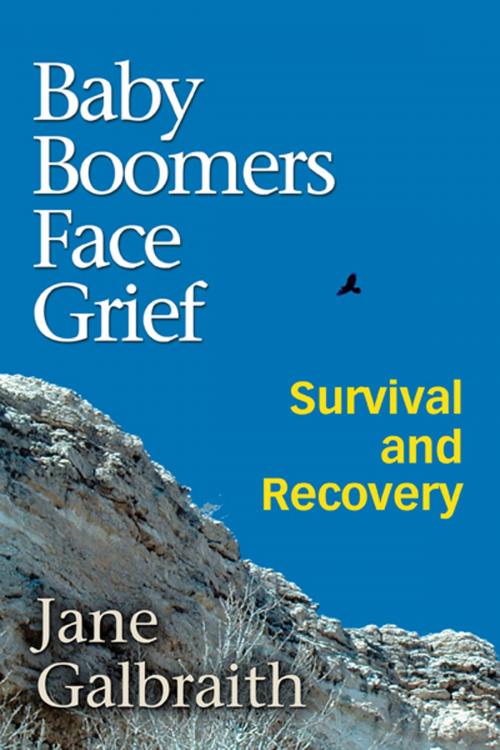 Cover of the book Baby Boomers Face Grief by Jane Galbraith, Trafford Publishing