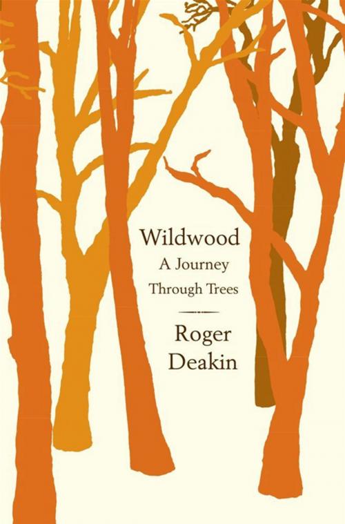 Cover of the book Wildwood by Roger Deakin, Free Press