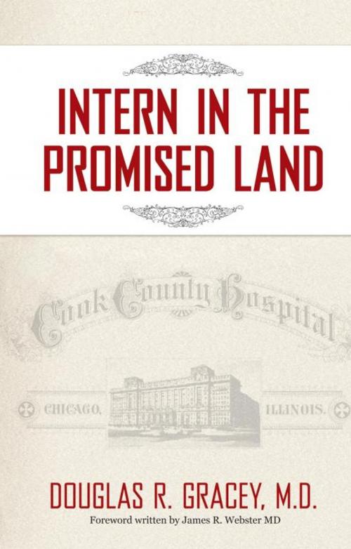 Cover of the book Intern in the Promised Land by Douglas R. Grace, iUniverse