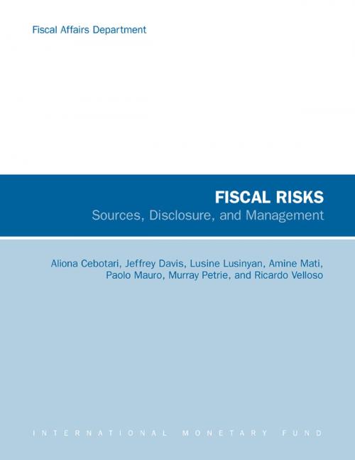 Cover of the book Fiscal Risks: Sources, Disclosure, and Management by Lusine Lusinyan, Aliona Cebotari, Ricardo Velloso, Jeffrey Mr. Davis, Amine Mati, Murray Petrie, Paolo Mr. Mauro, INTERNATIONAL MONETARY FUND