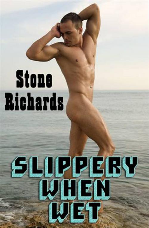 Cover of the book Slippery When Wet by Stone Richards, eXtasy Books