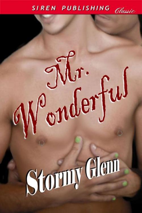 Cover of the book Mr. Wonderful by Stormy Glenn, Siren-BookStrand