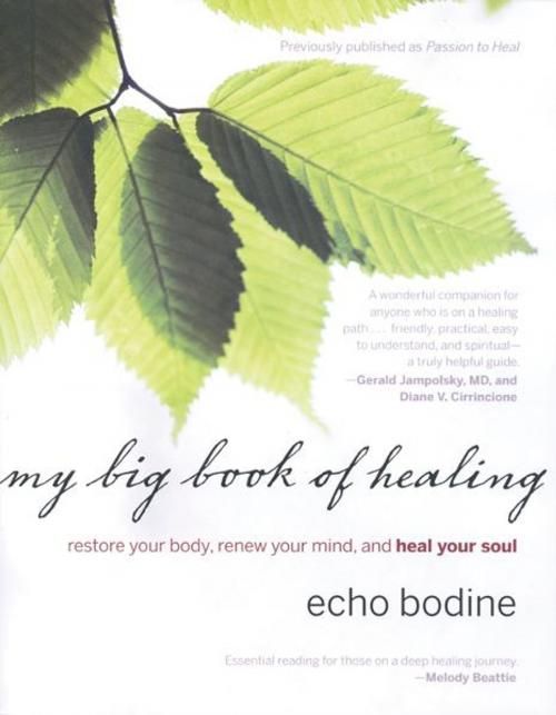 Cover of the book My Big Book of Healing: Restore Your Body, Renew Your Mind, and Heal Your Soul by Bodine, Echo, Hampton Roads Publishing