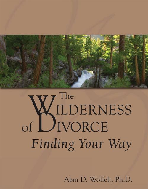 Cover of the book The Wilderness of Divorce by Alan D. Wolfelt, PhD, Companion Press