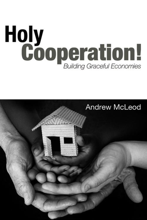 Cover of the book Holy Cooperation! by Andrew McLeod, Wipf and Stock Publishers