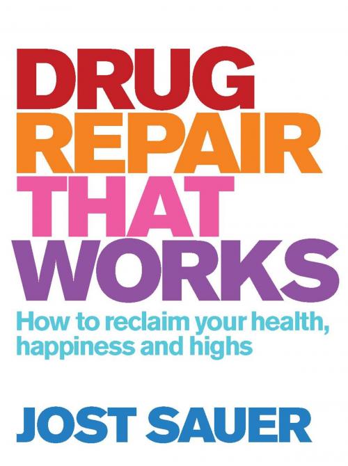 Cover of the book Drug Repair That Works by Jost Sauer, Allen & Unwin
