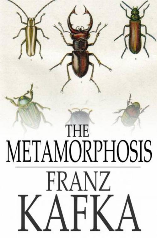 Cover of the book The Metamorphosis by Franz Kafka, The Floating Press