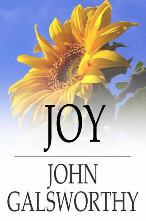 Cover of the book Joy by John Galsworthy, The Floating Press