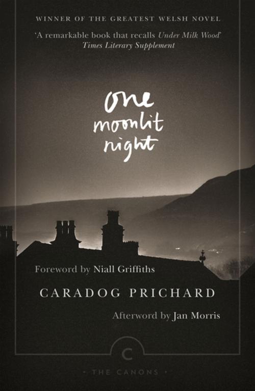 Cover of the book One Moonlit Night by Caradog Prichard, Canongate Books