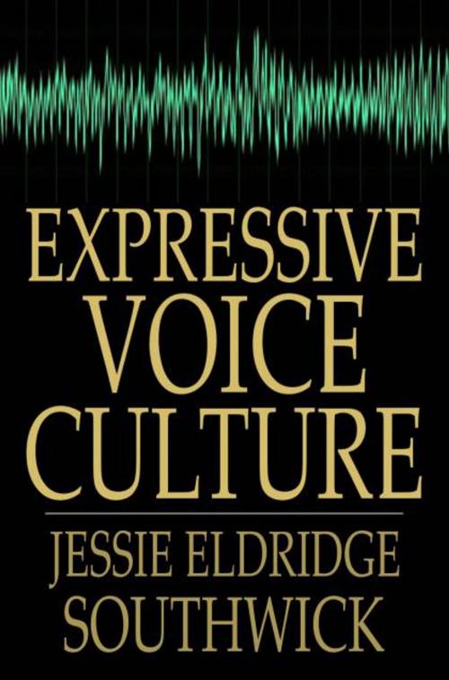 Cover of the book Expressive Voice Culture by Jessie Eldridge Southwick, The Floating Press