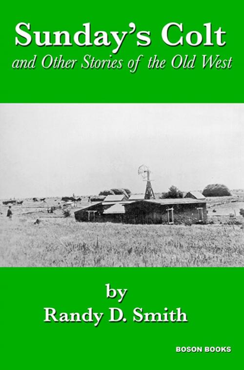 Cover of the book Sunday's Colt and Other Stories of the Old West by Randy D.  Smith, Bitingduck Press