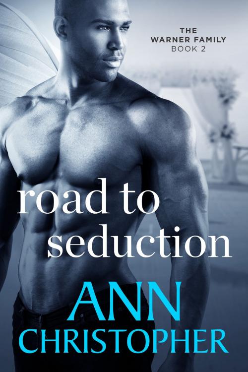 Cover of the book Road to Seduction by Ann Christopher, Blue Iris Press