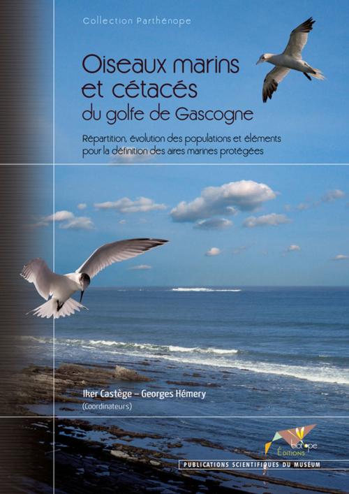 Cover of the book Oiseaux marins et cétacés du golfe de Gascogne by Iker  Castege, Georges  Hemery, BIOTOPE