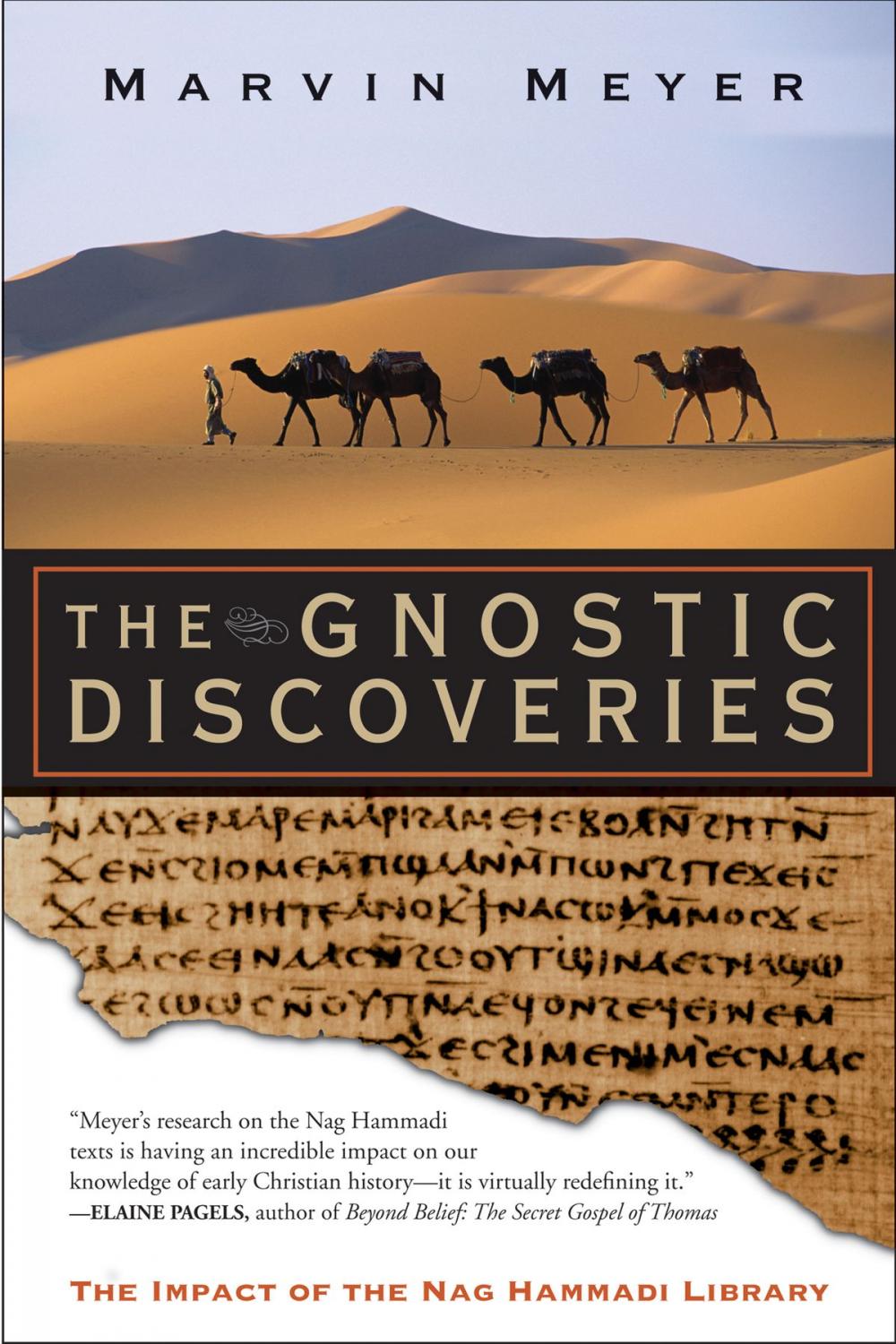 Big bigCover of The Gnostic Discoveries