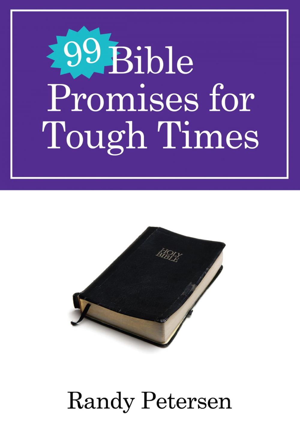 Big bigCover of 99 Bible Promises for Tough Times